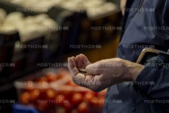 Miért illúzió az állami támogatás 2026-ban?